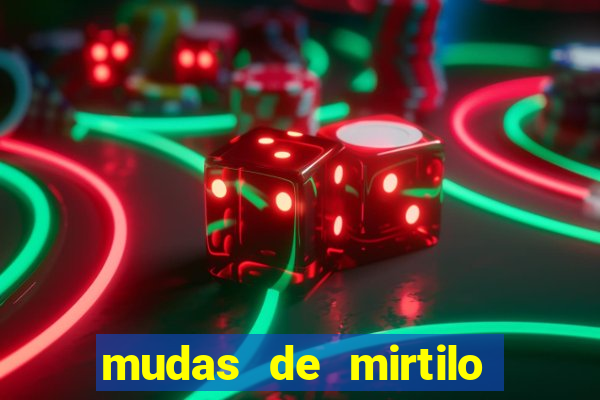 mudas de mirtilo em porto alegre